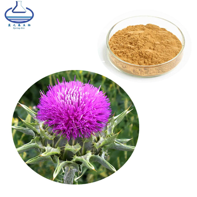 Wholesale Milk Thistle Extract Powder Silymarin Powder