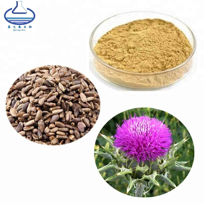 Wholesale Milk Thistle Extract Powder Silymarin Powder