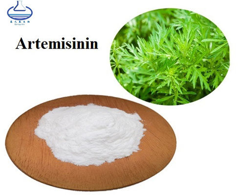 Natural Artemisia Annua Extract Artemisinin Powder
