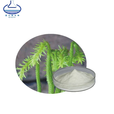 Natural Huperzine A Huperzia Serrata Extract Powder CAS 102518-79-6