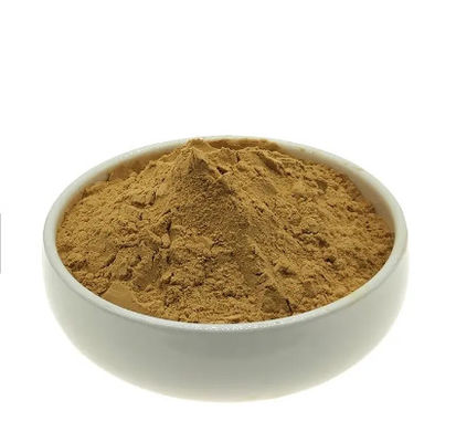 Supply bulk High Quality Food Grade 10:1 Oyster Extract Powder