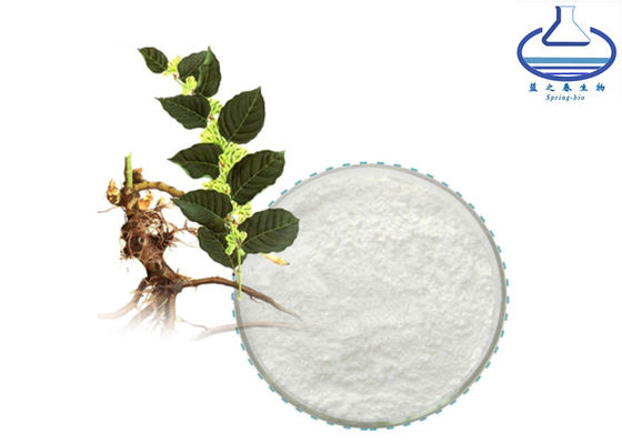 Food Grade Polygonum Cuspidatum Extract Resveratrol CAS 501-36-0