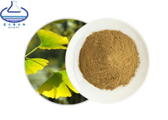 Glycosides 24% Ginkgo Lactone 6% Ginko Biloba Extract Powder