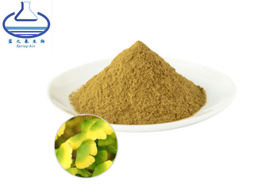 Glycosides 24% Ginkgo Lactone 6% Ginko Biloba Extract Powder
