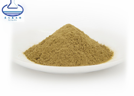 Glycosides 24% Ginkgo Lactone 6% Ginko Biloba Extract Powder