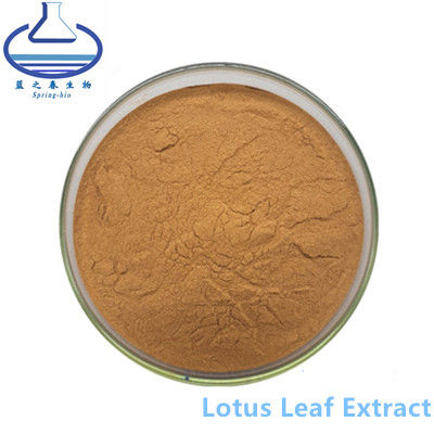 Nuciferine Lotus Leaf Extract Powder CAS 475-83-2 do dodatku do żywności